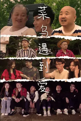 《菜鸟遇到爱》：职场菜鸟的恋爱逆袭，甜蜜爆笑的爱情喜剧